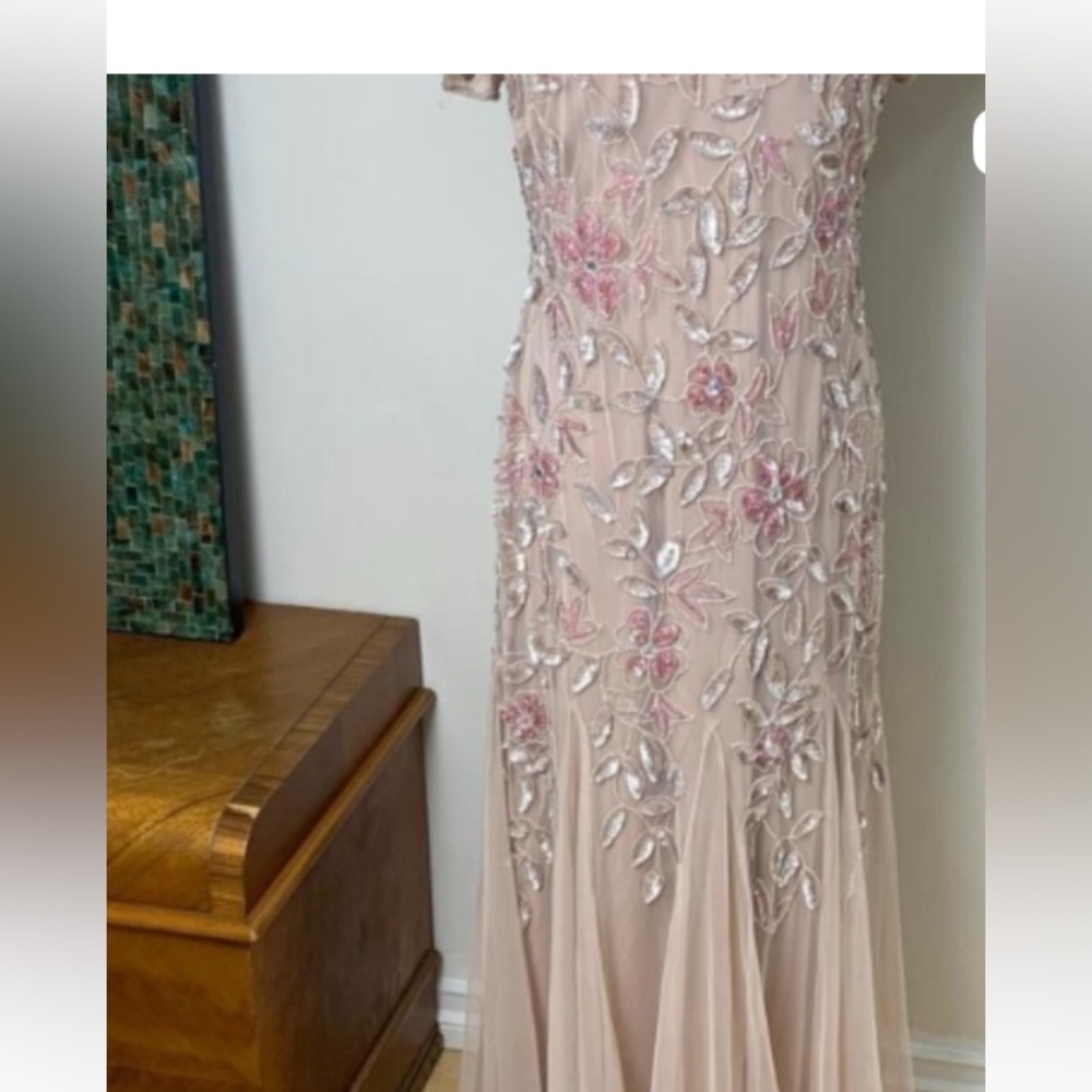 Adrianna Papell Sz 10, floor length, short sleeve, rose gown with sequins, beads - Picture 4 of 12